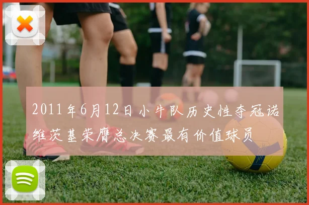 2011年6月12日小牛队历史性夺冠诺维茨基荣膺总决赛最有价值球员