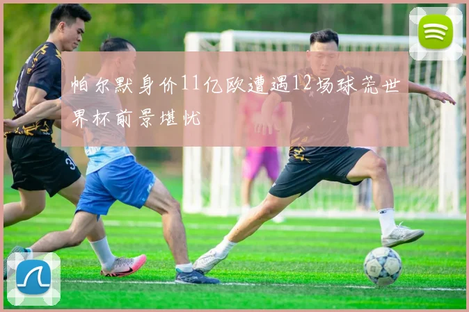 帕尔默身价11亿欧遭遇12场球荒世界杯前景堪忧